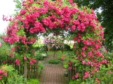 Ярка і витончена арка - чарівний вхід в сад